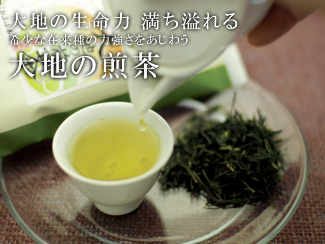 【冷茶にピッタリ】大地の煎茶