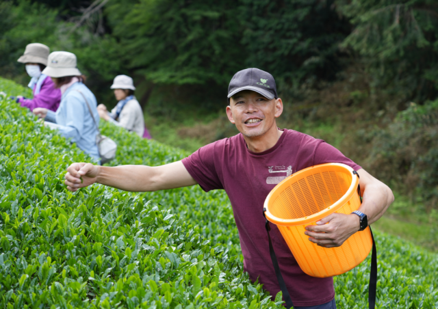 2025年関西品評会 手摘み煎茶 京都おぶぶ茶苑