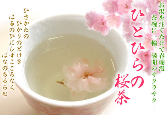 【大容量パック】ひとひらの桜茶10kg(30%off)