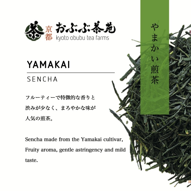 やまかい煎茶