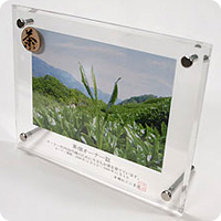 茶畑オーナー書