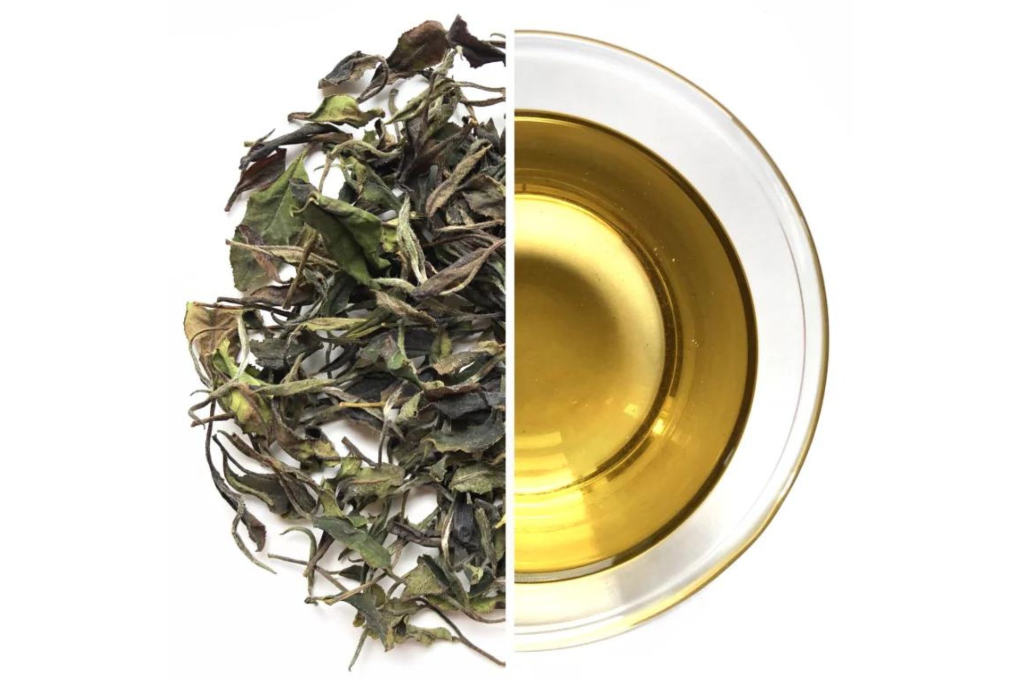 春の悪夢　霜降り茶　30年ぶりの春の遅霜が作った天然　白茶　10g