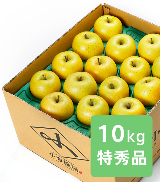 小布施屋　シナノゴールド　信州りんご　産直