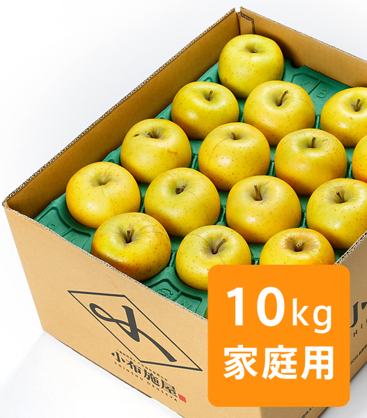 小布施屋　シナノゴールド　信州りんご　産直