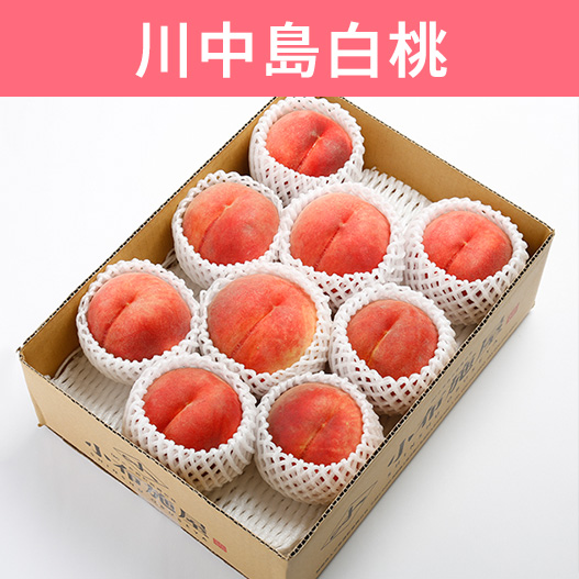 送料無料】長野県産 川中島白桃 3kg 送料無料｜小布施屋