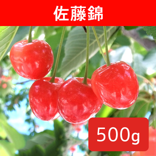 送料無料】さくらんぼ 佐藤錦 約500g