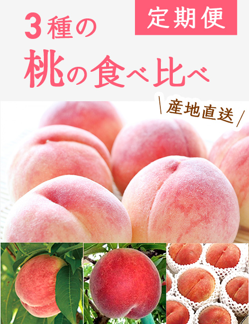 3種の桃の食べ比べ定期便(約1.8kg×3回)(送料無料)【申込期限：8月6日まで】