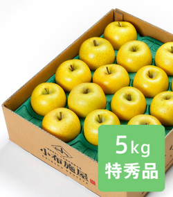 小布施屋　シナノゴールド　信州りんご　産直