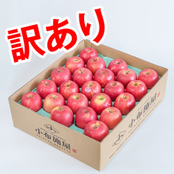 訳ありピンクレディ