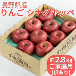 りんご シナノホッペ ご家庭用 2.8kg（送料無料）訳あり ３kg箱