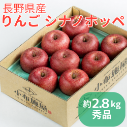 りんご シナノホッペ 秀品 2.8kg（送料無料） ３kg箱
