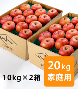 りんご サンふじ 風のいたずら家庭用 約20kg(送料無料)