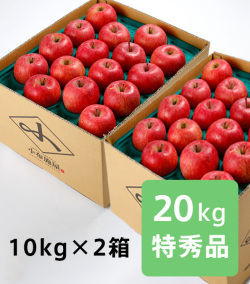 りんご サンふじ 特秀品 約20kg(送料無料)