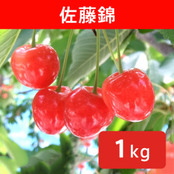さくらんぼ 佐藤錦 約1kg（送料無料）【申込期限：6月23日まで】