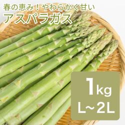 アスパラガス 約1kg L~2Lサイズ 約25～40本前後（送料無料）