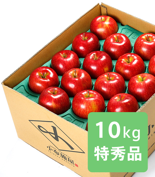 長野県飯綱産　シナノスイート　秀品　10kg 送料無料】りんご シナノスイート 特秀品 約10kg