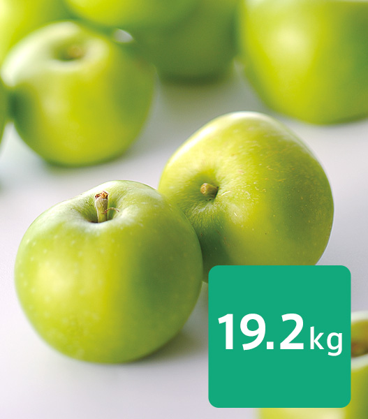 送料無料】クッキングアップル「ブラムリー」約19.2kg (9.6kg×2箱