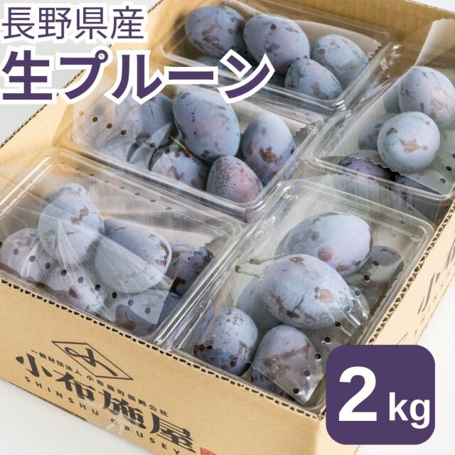 送料無料】旬の生プルーン 約2kg