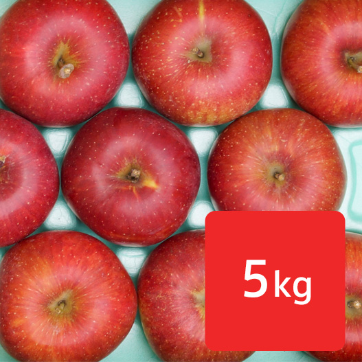 送料無料 あいかの香り りんご 約5kg
