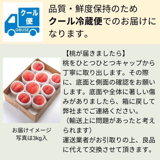 桃 黄金桃 約3kg(送料無料)