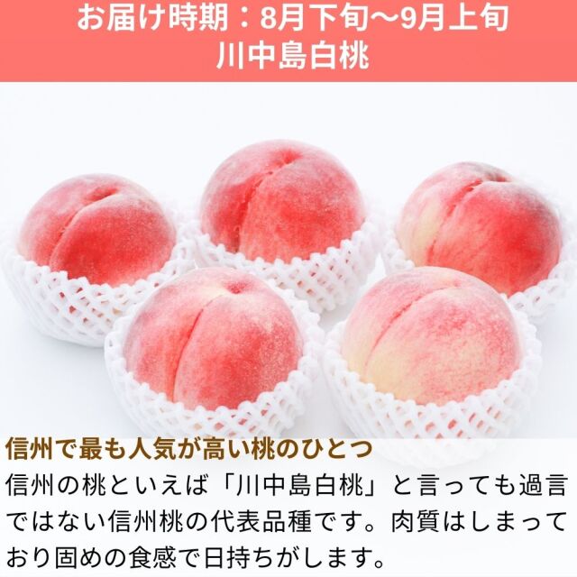 桃 川中島白桃 約3kg(送料無料)