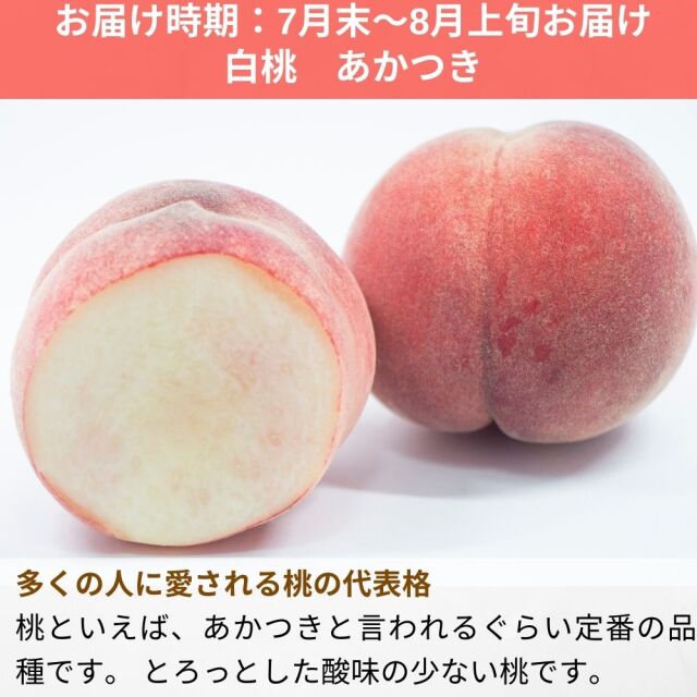 長野県 信州産 桃 もも 箱込み約1.8kg x3 クール 楽天市場】信州産 旬の桃 予約 選べる3kg箱・5kg箱 【7月下旬