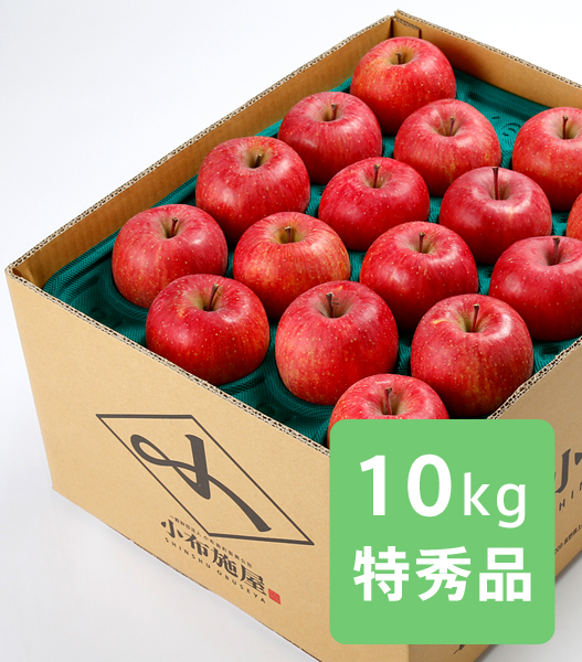 送料無料】りんご サンふじ 特秀品 約10kg