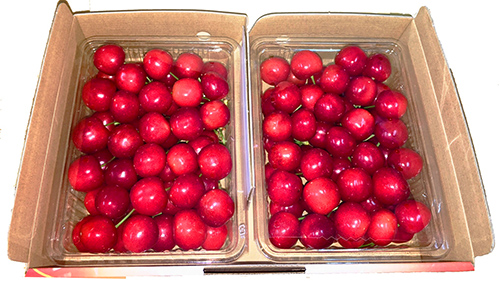 さくらんぼ 紅秀峰 約1kg(送料無料) さくらんぼ 紅秀峰 1kg