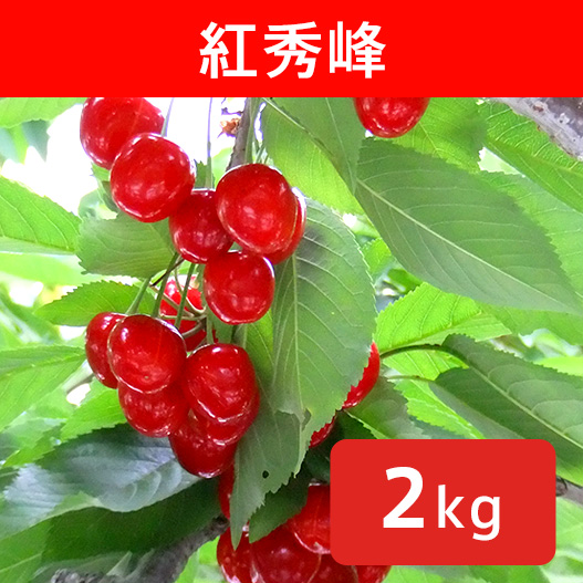 さくらんぼ 紅秀峰 約2kg(送料無料)【申込期限:6月21日まで】
