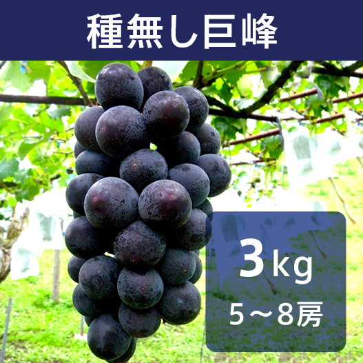 送料無料】種無し巨峰 3kg｜小布施屋