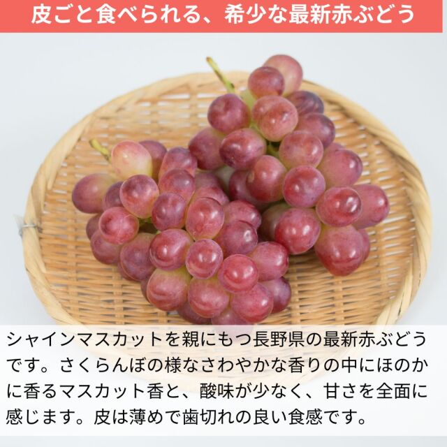 ぶどう クイーンルージュ 約2kg(送料無料)