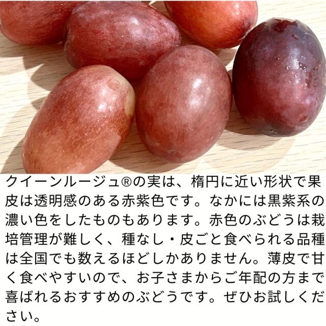 ぶどう クイーンルージュ 約2kg(送料無料)