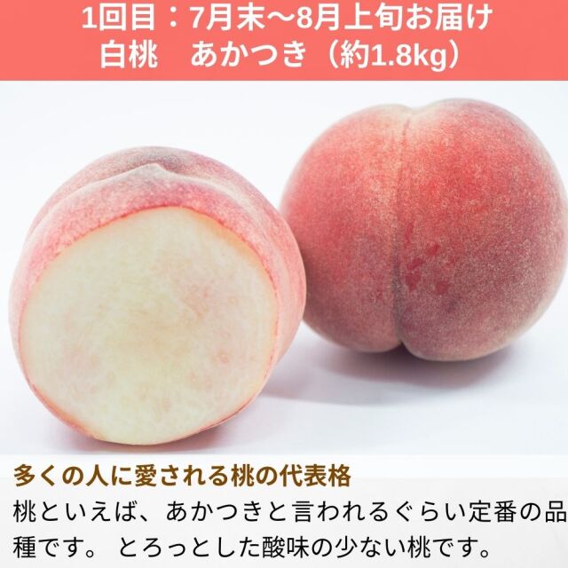 送料無料】小布施町の3種の桃の食べ比べ定期便(約1.5kg×3回)