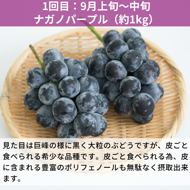 3種のぶどうの食べ比べ定期便(約1kg×3回)(送料無料)【申込期限:9月6日まで】
