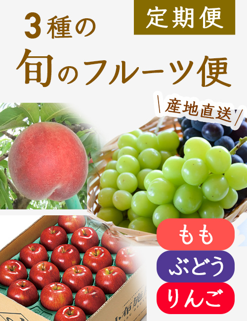 旬の3種のフルーツ定期便コース(3回)(送料無料)【申込期限:8月22日まで】