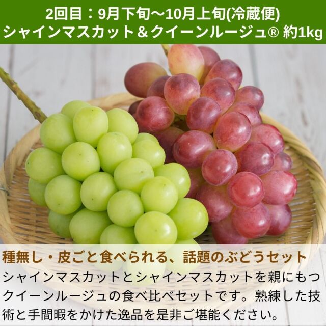 旬の3種のフルーツ定期便コース(3回)(送料無料)【申込期限:8月22日まで】