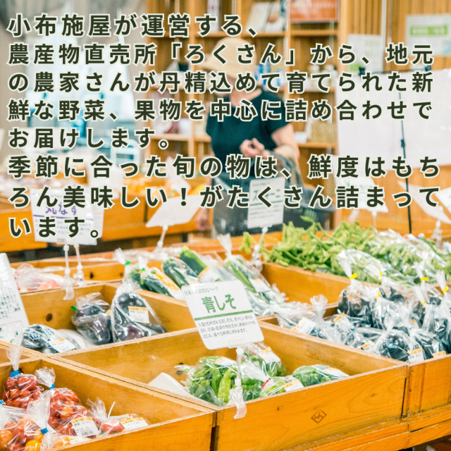 送料無料】直売所から直送 旬の野菜・果物セット