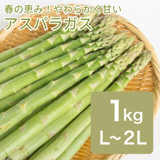 アスパラガス 約1kg L~2Lサイズ 約24～35本前後