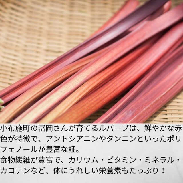 ルバーブ 約1kg