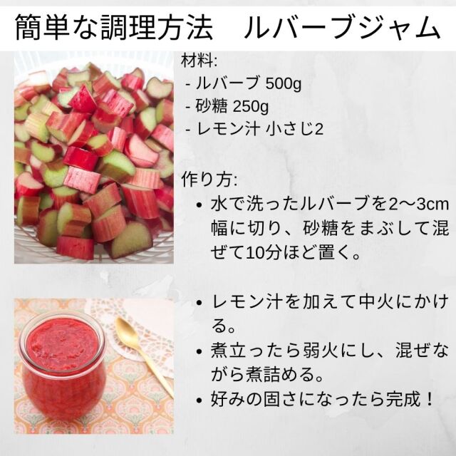 ルバーブ 約1kg
