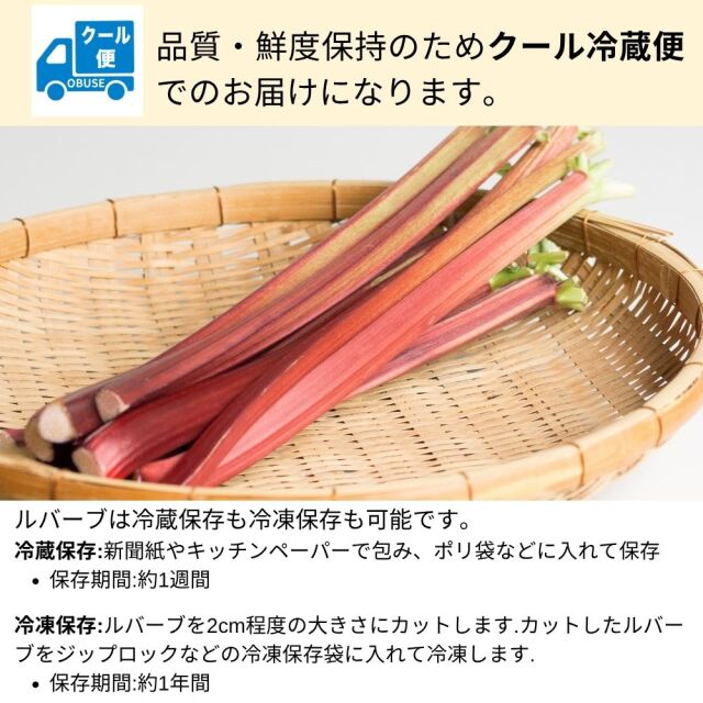 ルバーブ 約1kg
