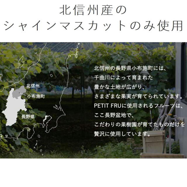 プティフル ショコラサンドセット 2個入×4箱