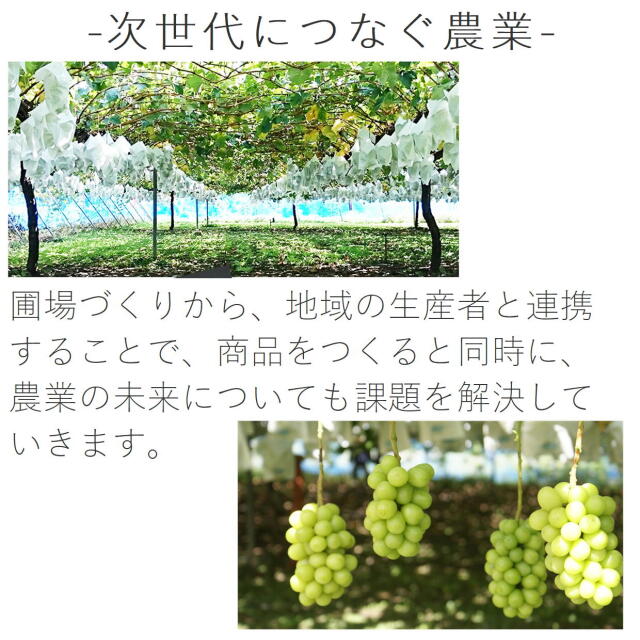 プティフル ショコラサンドセット 2個入×4箱