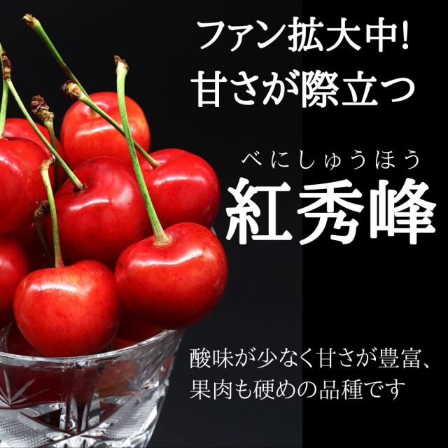さくらんぼ 紅秀峰 約500g(送料無料)【申込期限:6月21日まで】