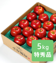 小布施屋　シナノスイート　信州りんご　産直