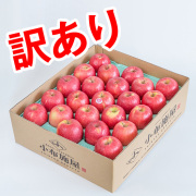 訳ありピンクレディ