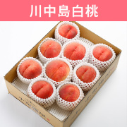 桃 川中島白桃 約3kg（送料無料）【申込期限：8月25日まで】