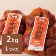 小布施栗 Ｌサイズ 約2kg（送料無料） 【申込期限：10月23日まで】