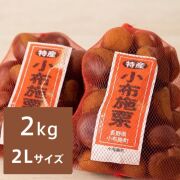 小布施栗 2Ｌサイズ 約2kg（送料無料）【申込期限：10月23日まで】