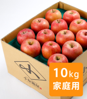 りんご サンふじ 風のいたずら家庭用 約10kg(送料無料)